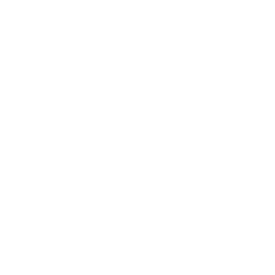 Evolution Gaming logo